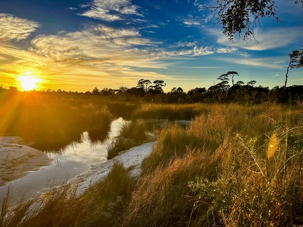 Gulf Breeze Neighbors