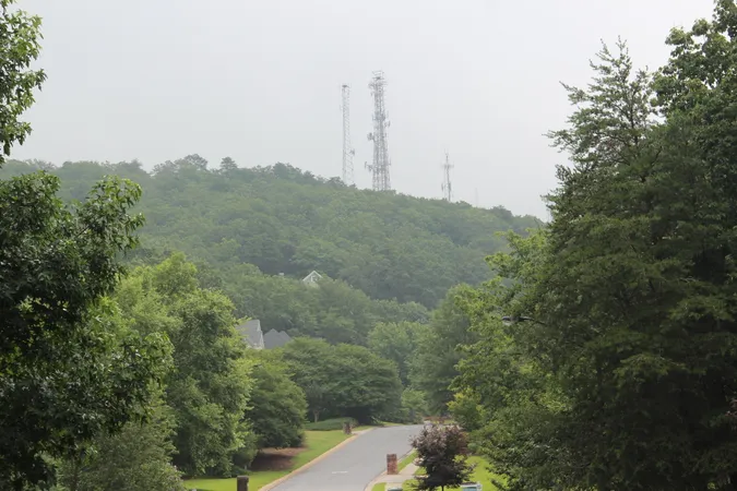 Northeast Cobb Neighbors