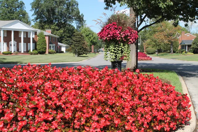 Hurstbourne Living