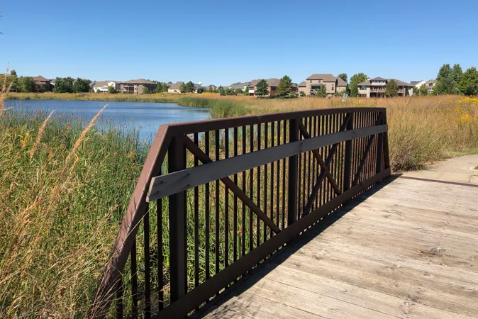 North Eastside Neighbors