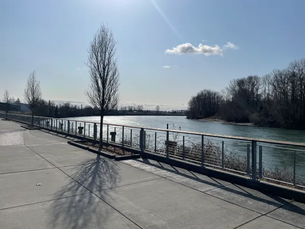 Mount Vernon Neighbors