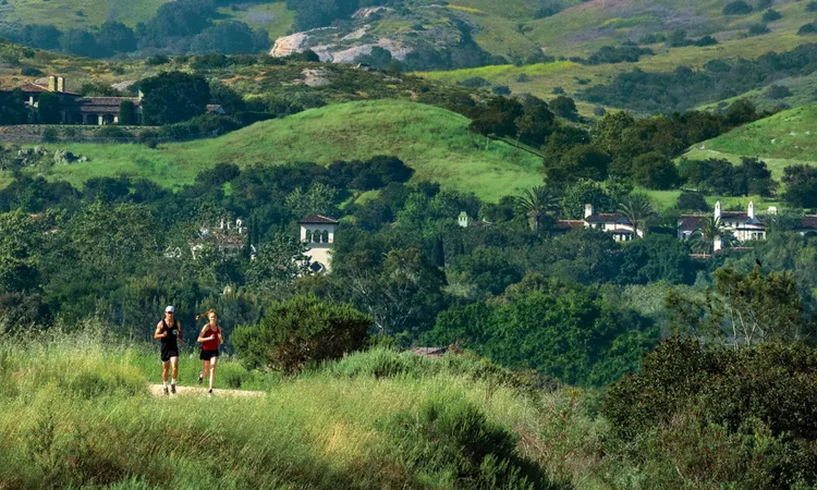 Neighbors of Turtle Rock