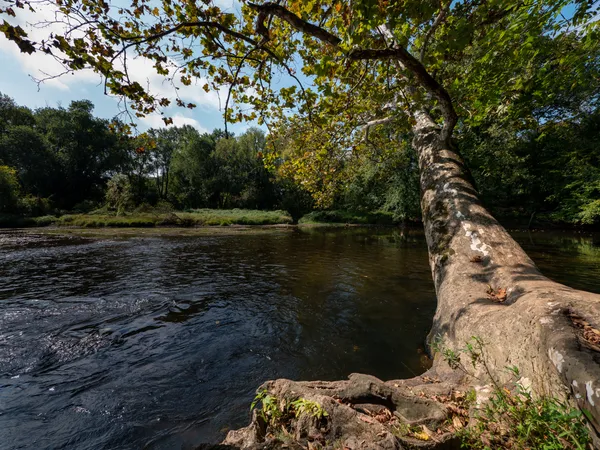 Chadds Ford Neighbors