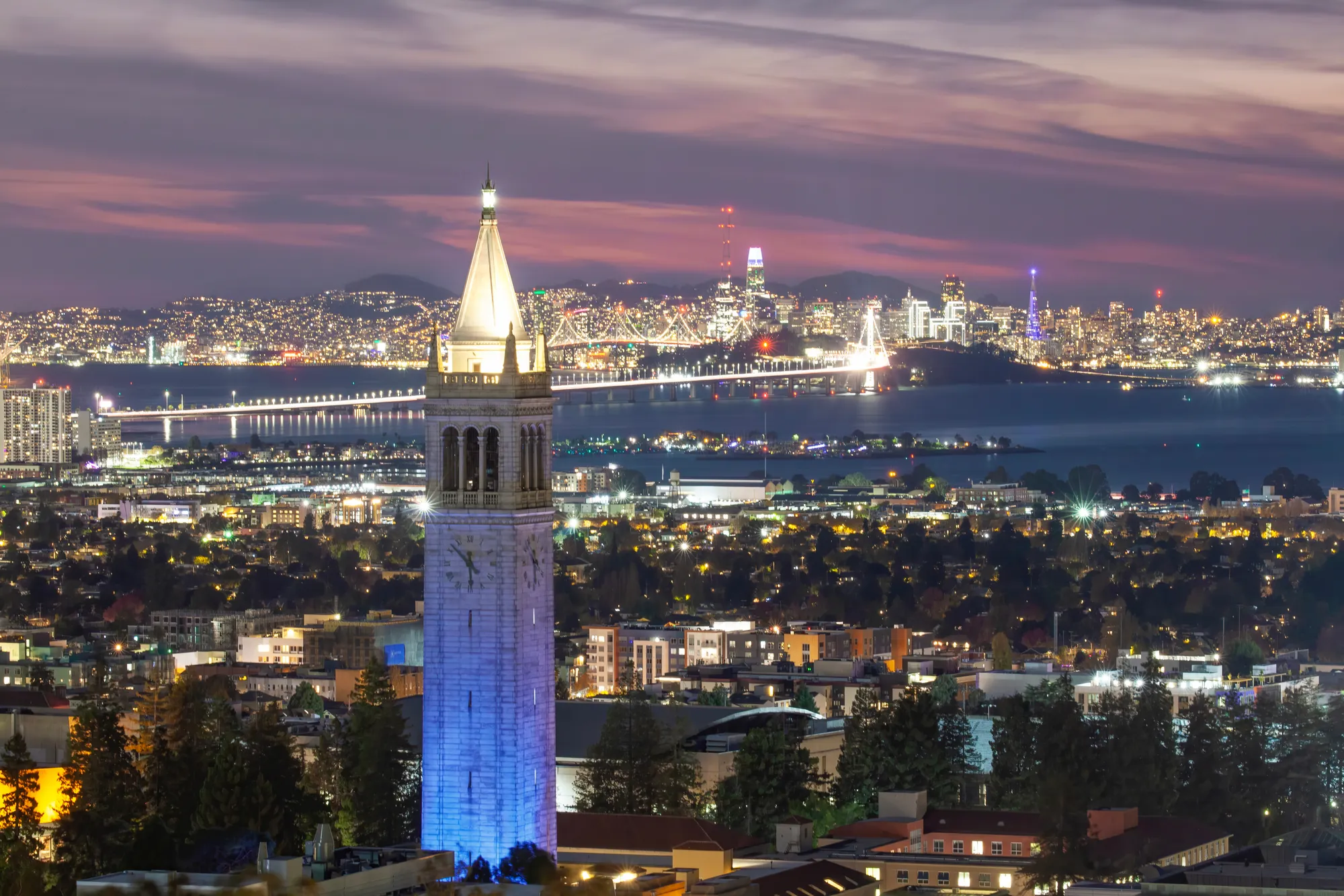 Berkeley Hills Living