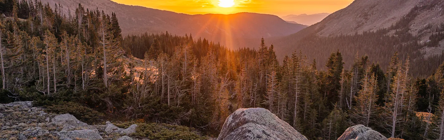 Ruby Mountain Living