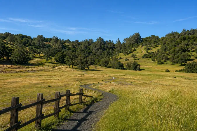 North Chico Neighbors
