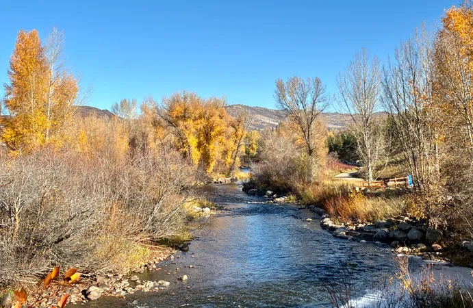 Steamboat Neighbors