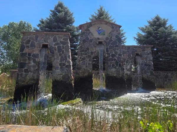 The Collective: Water Valley and RainDance