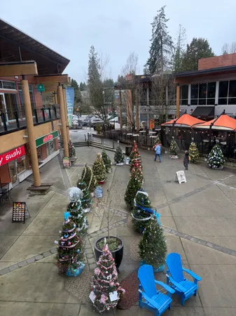 Neighbours of Lynn Valley