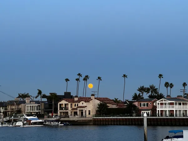 Alamitos Bay Neighbors