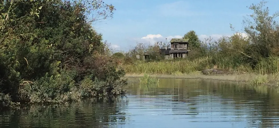 Skagit Valley Living