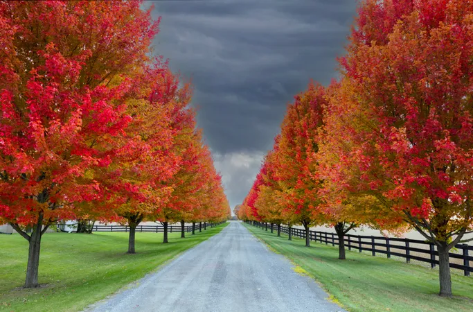 Neighbours of Stittsville