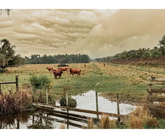 Okeechobee Neighbors