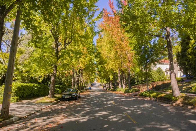 Piedmont Living