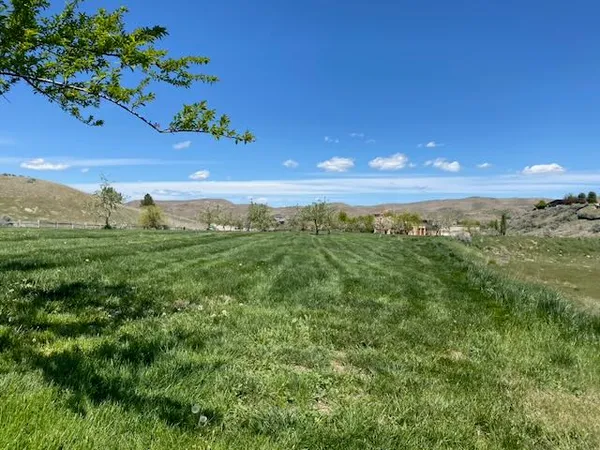 Boise Foothills Living