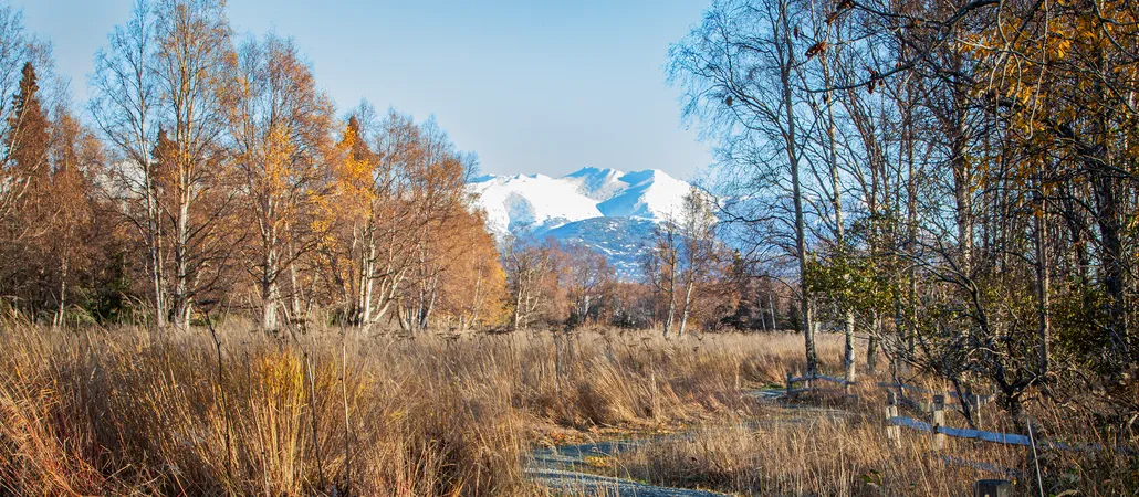 South Anchorage Hillside Living