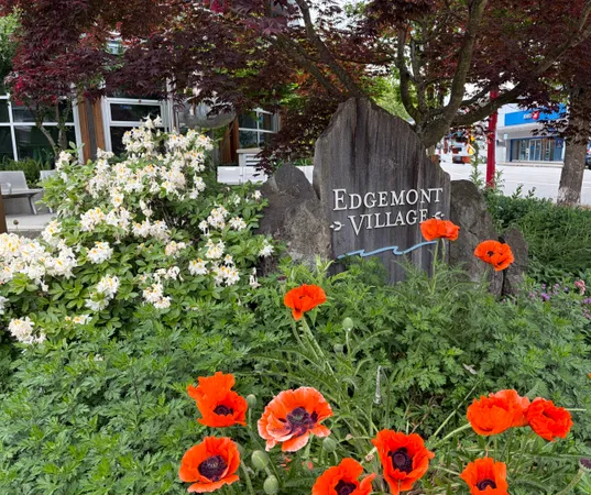 Neighbours of Edgemont