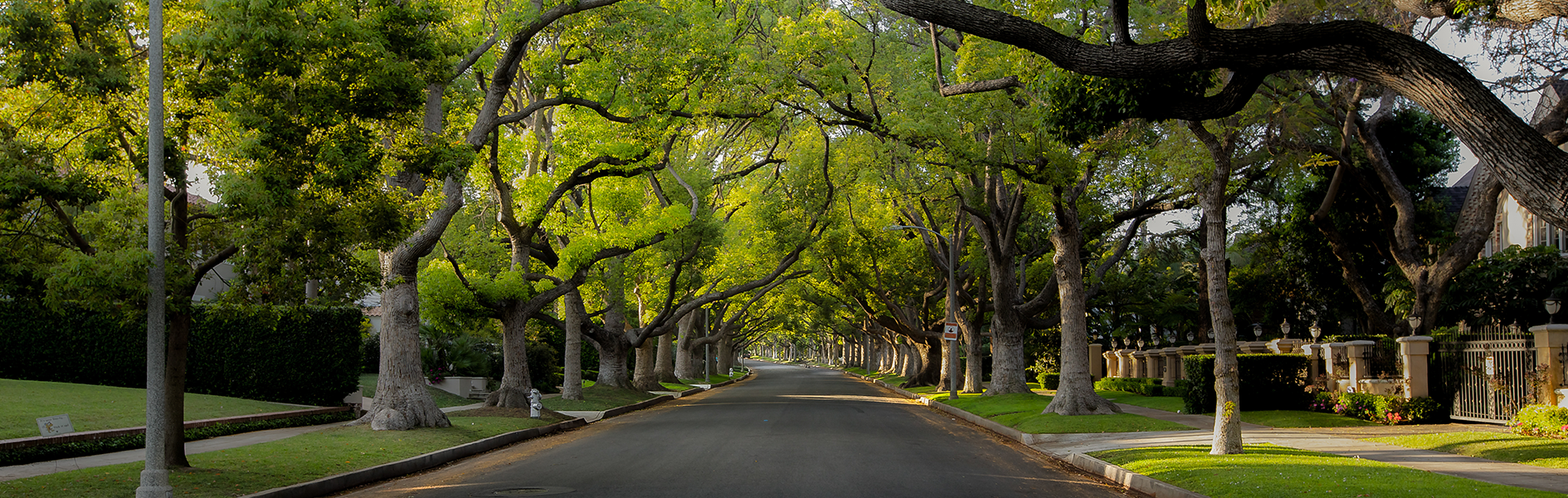 Neighbors of Westover Hills - Local Magazine Publications | Best Version Media